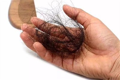 ݸļҽԺѷЧ